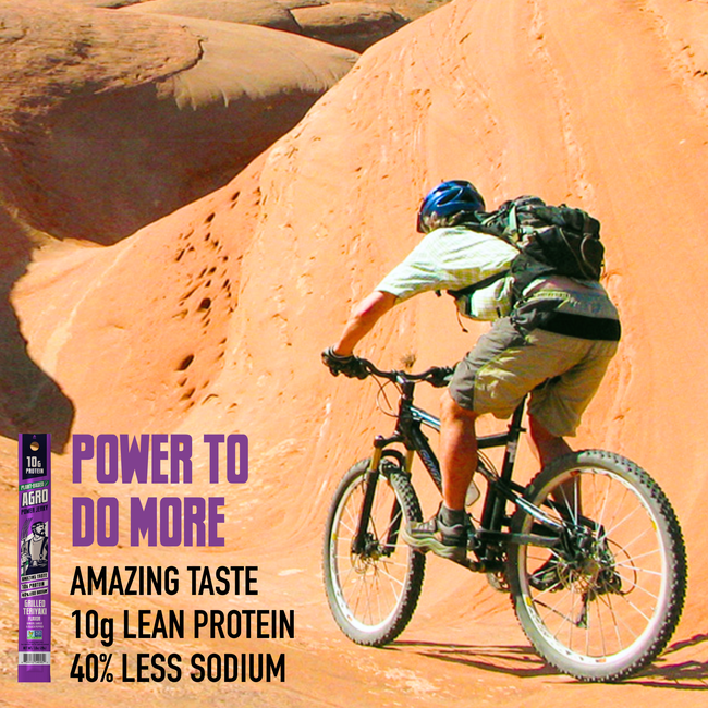 Grilled Teriyaki Sticks-gallery-50577777590556