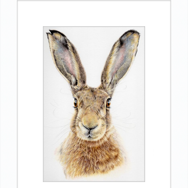 I'm All Ears-gallery-49475766354211