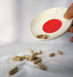 Sub-Critical Fruiting Body Lion's Mane Capsules