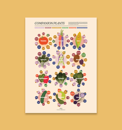 Companion Plants Print