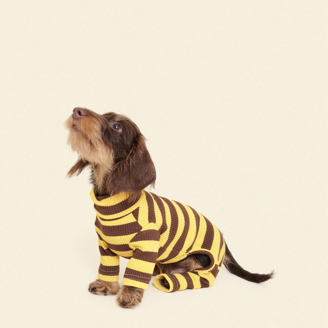 Dijon Onesie-gallery-61904992469278