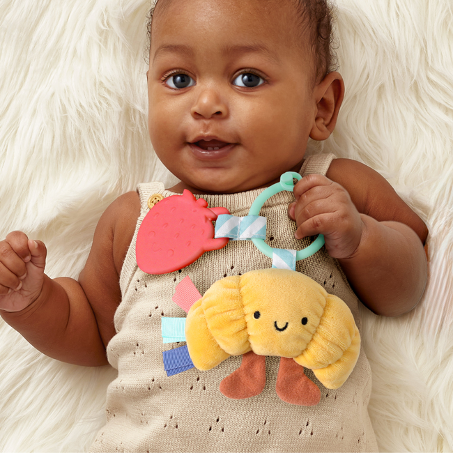 Itzy Pal™ Infant Toy-gallery-40246522282155