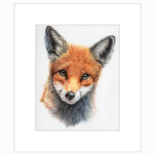 Michael the Red Fox-gallery-49475880583459