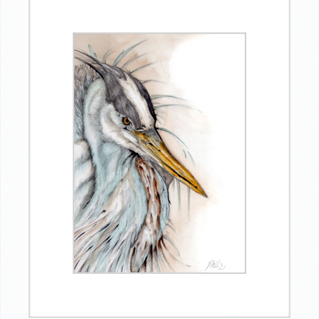 Heron-gallery-49475808264483