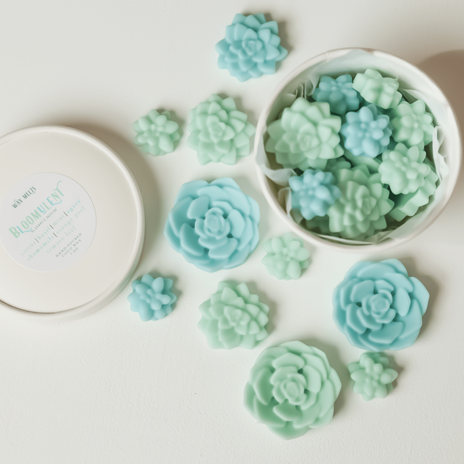 Bloomulent Succulent Wax Melts - Refreshing Spring Aroma | Natural Coco Wax-gallery-31103000248390