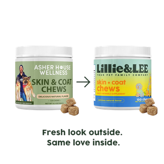 Skin & Coat Chews | Luster + Nourish