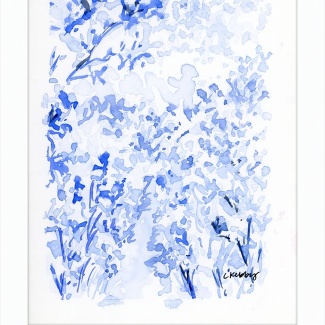 Flower Field-gallery-47153662230819
