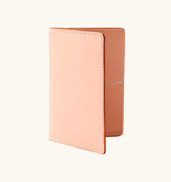 Travel Wallet