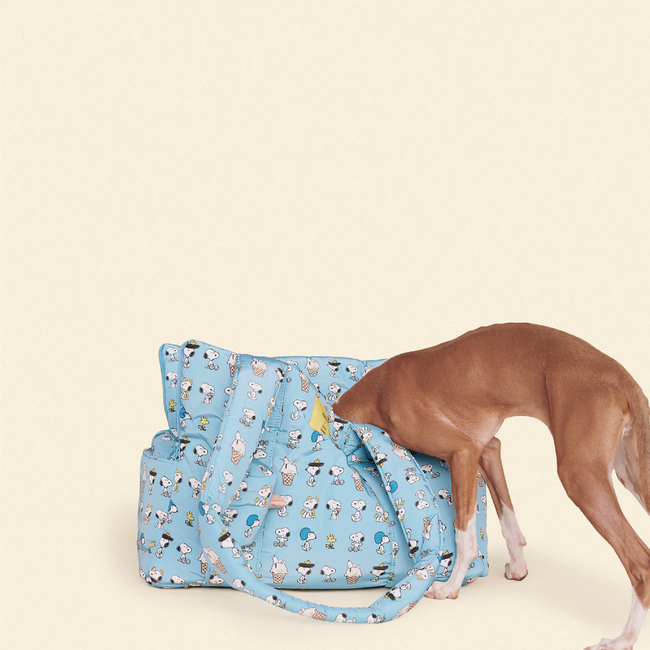 Snoopy Chillin Carrier - PEANUTS-gallery-61734263718174