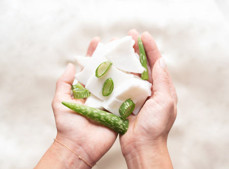 Ingredient Spotlight: Aloe