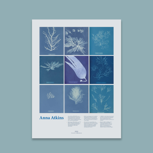 Anna Atkins Cyanotype Print-gallery-44322496315638