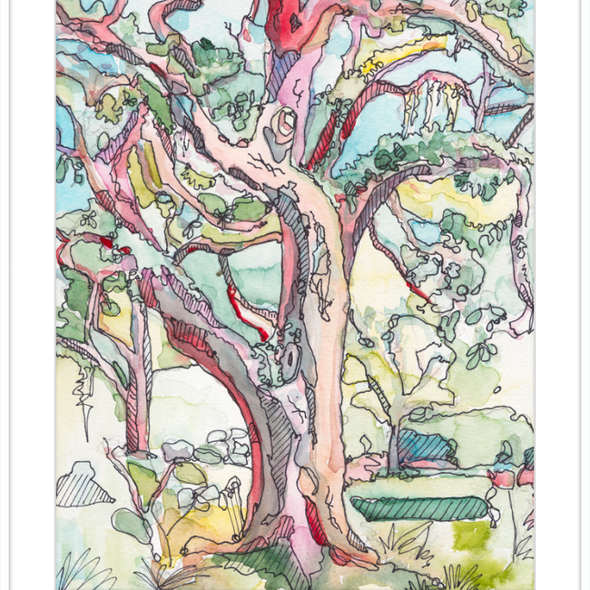 Sunny Oak in Forsyth Park-gallery-48984869732643