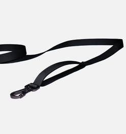 K9 Everyday™ Dog Leash