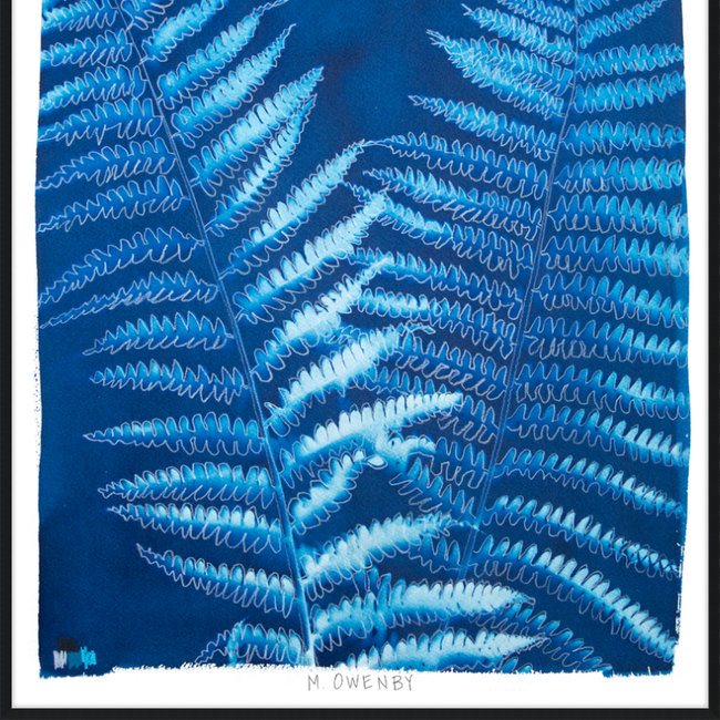 Ostrich Fern-gallery-48954427998499