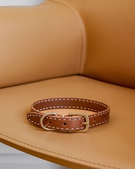Take the Lead Tan Leather Dog Collar