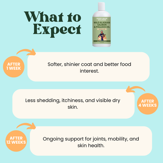 Wild Alaskan Salmon & Pollock Oil | Brain + Heart - for Pets-gallery-35118016528593