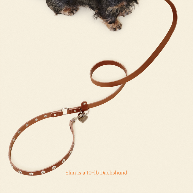 Hazel - Flower Power Leash-gallery-61397061501214