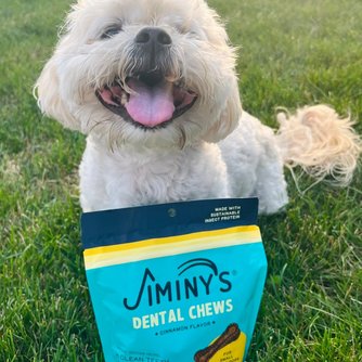 Dental Chews Extra Small 38ct