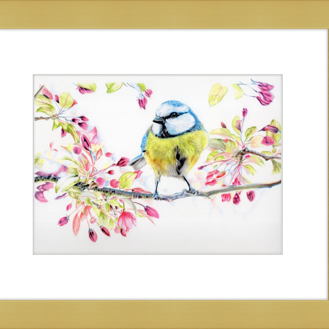 Blue Tit in Blossom-gallery-49475801481507