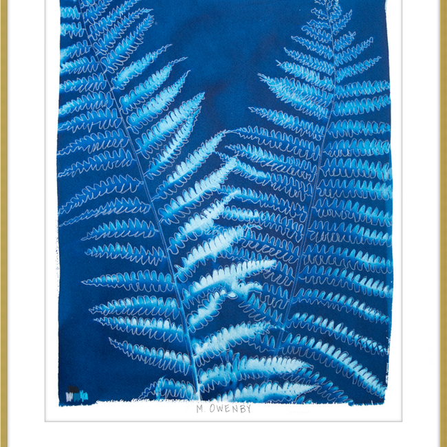 Ostrich Fern-gallery-48954513457443