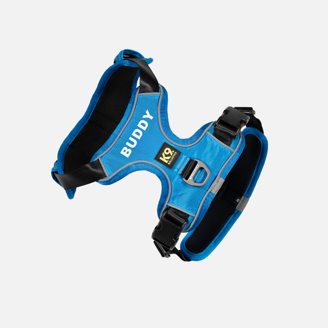 K9 Everyday™ Dog Harness-gallery-35793294000267