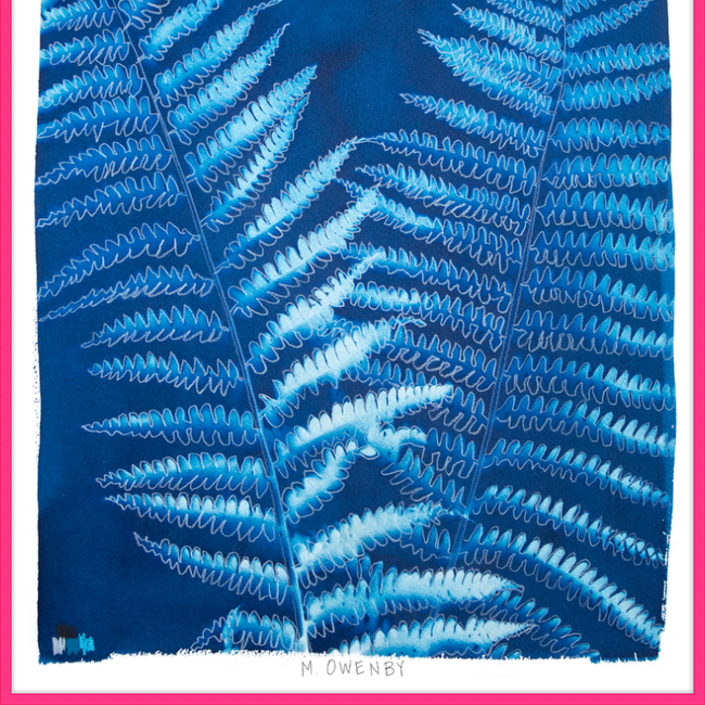Ostrich Fern-gallery-48954418331939