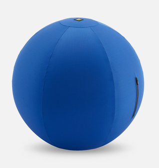 K9 Play™ Herding Ball Dog Toy
