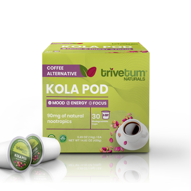 KOLA POD-gallery-50156424331552