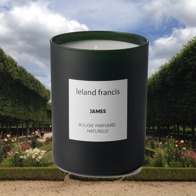 James - Bougie Parfumée-gallery-45558002319668