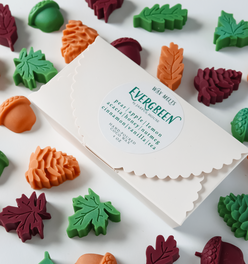 Evergreen Coconut Wax Melts – Acorns & Leaves – 4 oz. Fall Wax Melts