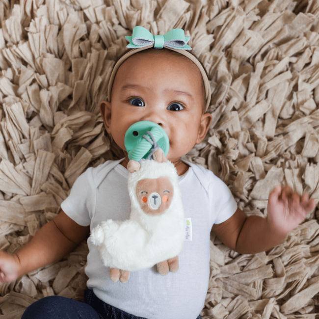 Sweetie Pal™ - Pacifier & Stuffed Animal-gallery-14591094095987