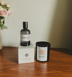 Welcome House Set - Candle & Room Spray