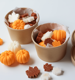 Fall Wax Melts Hello Pumpkin | Orange, Apple, Mandarin, Peppercorn, Vanilla Coco Tarts