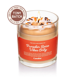 Pumpkin Spice Vibes Only Donut Candle