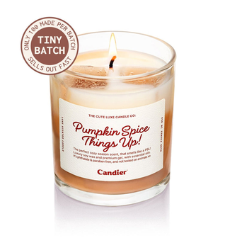 Pumpkin Spice Things Up Candle