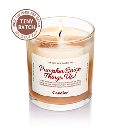 Pumpkin Spice Things Up Candle