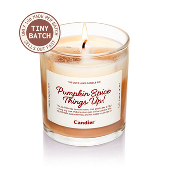 Pumpkin Spice Things Up Candle
