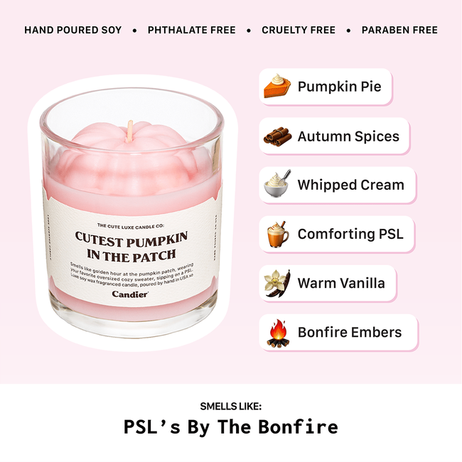 candier-candle-fragrance-notes-fall-pumpkin-spice-candle.png
