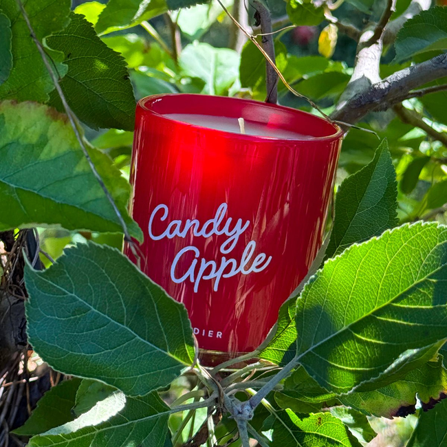 candy-apple-candle-outdoor-evergreen-christmas-candles.jpg