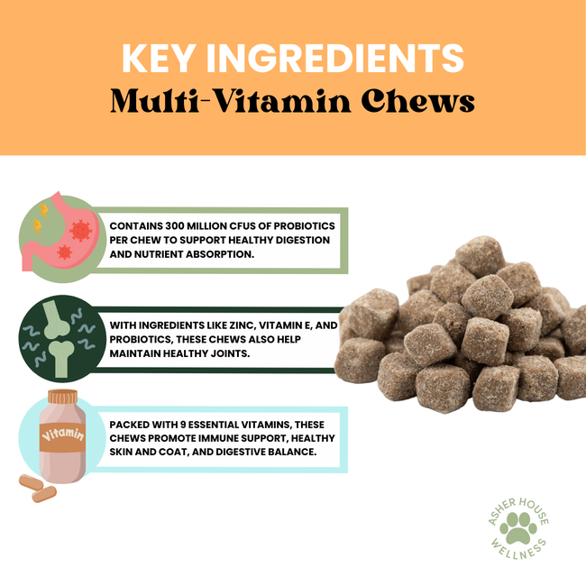 Multi-Vitamin Chews | Energy + Defense-gallery-35118019346641