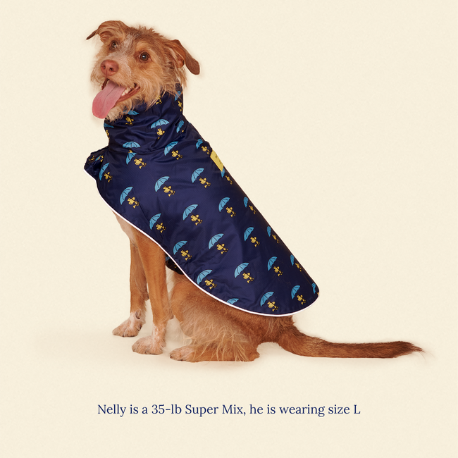 Snoopy and Woodstock Raincoat - Navy-gallery-61760237240606