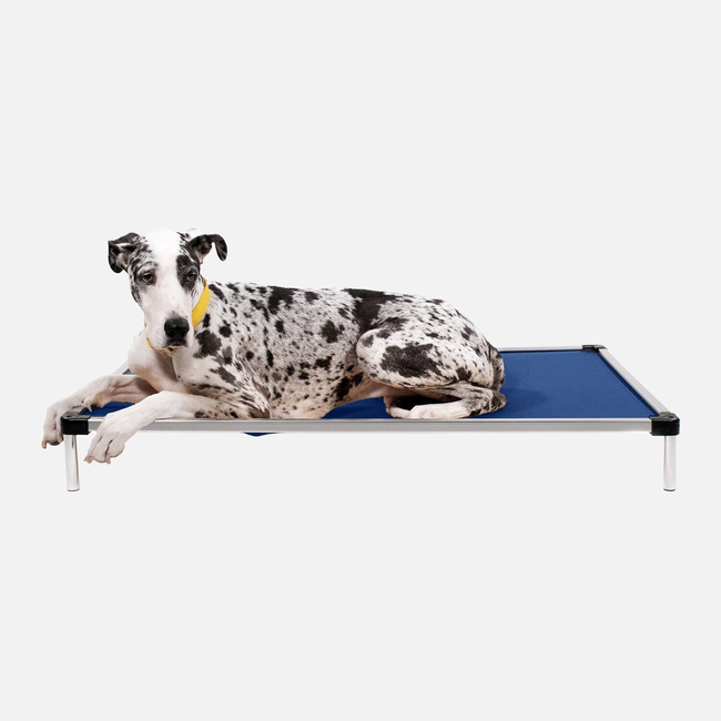Chew Proof Armored™ Ripstop Elevated Dog Bed-gallery-34810355548299