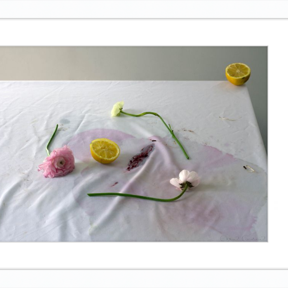 Brunch-gallery-48984339185955