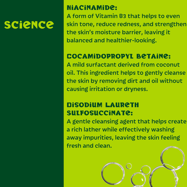 Setú® Daily Cleanser for Men with Moringa & Yerba Mate | Gentle Face Wash-gallery-62976786071839