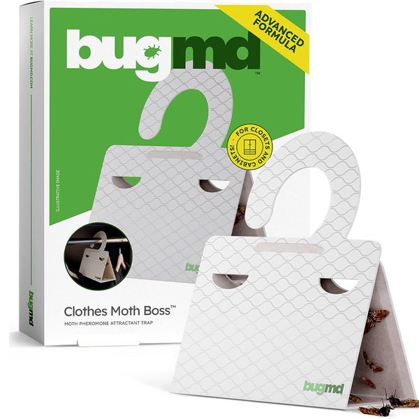 Prime Day Home Organization Essential: Save 20% on BugMD Clothes & Pantry Moth Traps During Amazon Prime Day