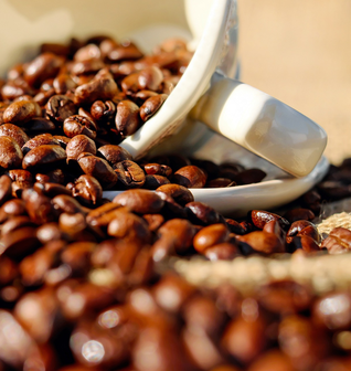 42 Days Coffee