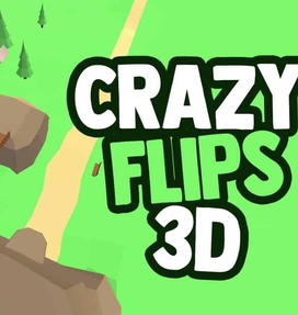 crazy flips 3d
