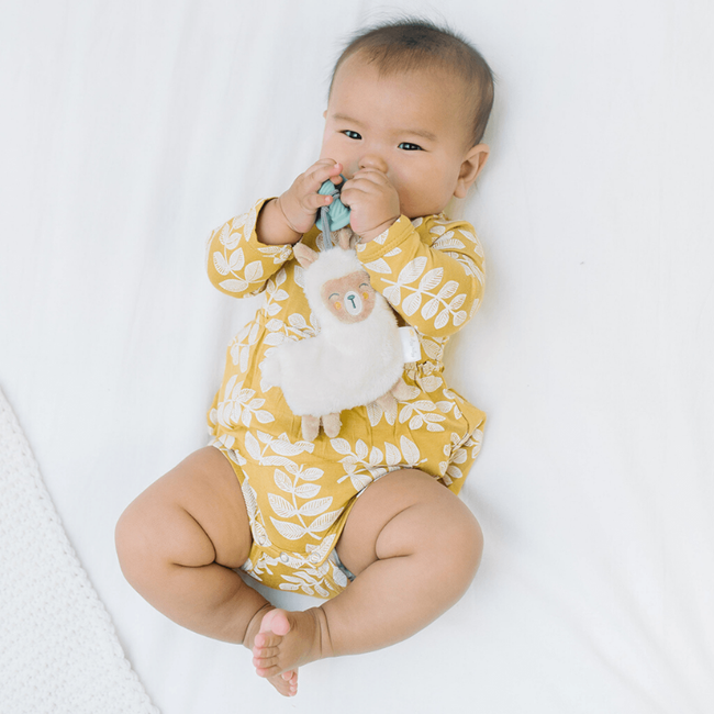 Sweetie Pal™ - Pacifier & Stuffed Animal-gallery-14591094194291