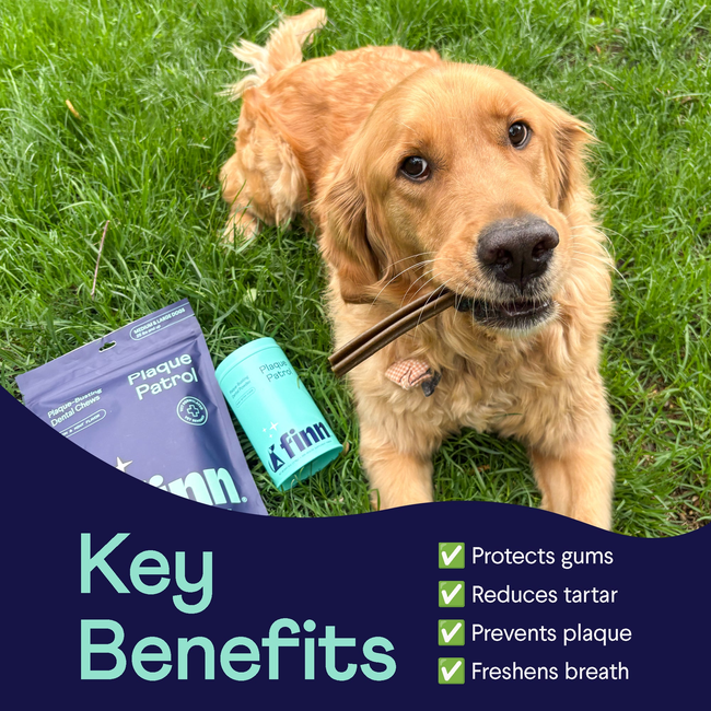 Plaque Patrol Dental Powder-gallery-32716470419538