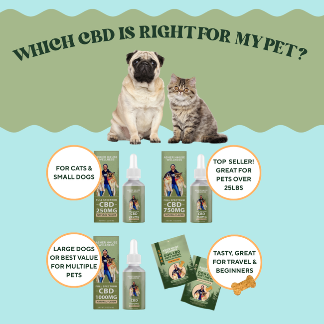 CBD Soft Chews | Calm + Comfort - for Pets-gallery-35118023278801